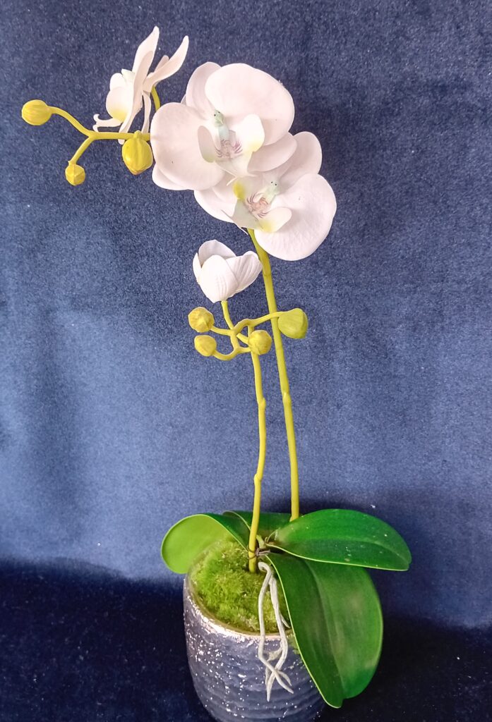 Parlane Faux Orchid in Silver Pot - Coach House Interiors